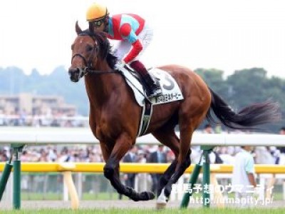 Preview &amp; Trifecta - Tenno Sho (Autumn) 2017 Image 15