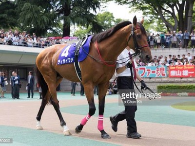 Preview &amp; Trifecta - Tenno Sho (Autumn) 2017 Image 6