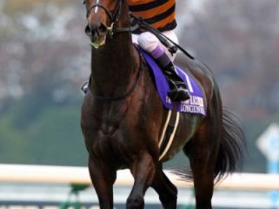 Preview &amp; Trifecta - Tenno Sho (Autumn) 2017 Image 7