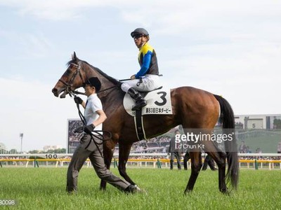 Preview &amp; Trifecta - Tenno Sho (Autumn) 2017 Image 14