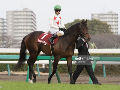 Preview &amp; Trifecta - Tenno Sho (Autumn) 2017 Image 10