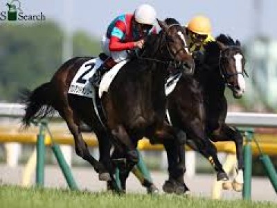 Preview &amp; Trifecta - Tenno Sho (Autumn) 2017 Image 16