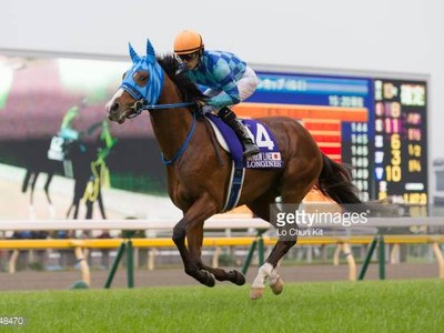 Preview &amp; Trifecta - Tenno Sho (Autumn) 2017 Image 8