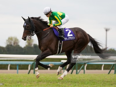 Preview &amp; Trifecta - Tenno Sho (Autumn) 2017 Image 13