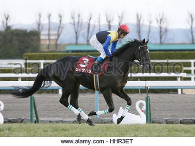 Preview &amp; Trifecta - Tenno Sho (Autumn) 2017 Image 17