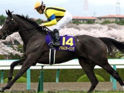 Preview &amp; Trifecta - Tenno Sho (Autumn) 2017 Image 9