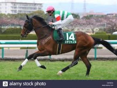 Preview &amp; Trifecta - Tenno Sho (Autumn) 2017 Image 12