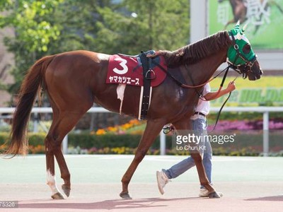 Preview &amp; Trifecta - Tenno Sho (Autumn) 2017 Image 5