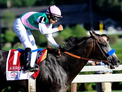 Preview &amp; Trifecta - Breeders' Cup Classic Image 1