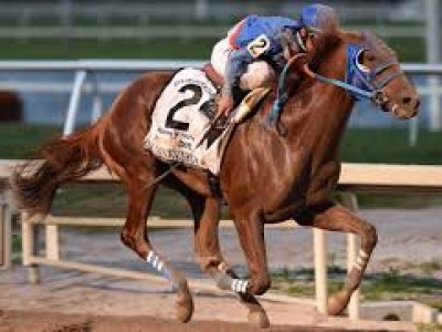 Preview &amp; Trifecta - Breeders' Cup Classic Image 9