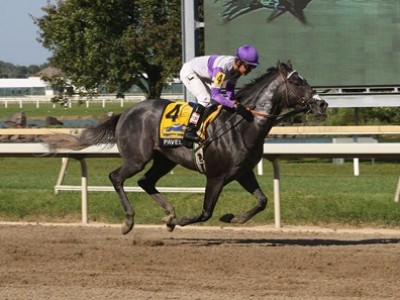 Preview &amp; Trifecta - Breeders' Cup Classic Image 10