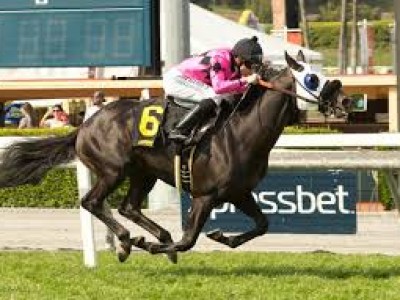 Preview &amp; Trifecta - Breeders' Cup Turf Image 12