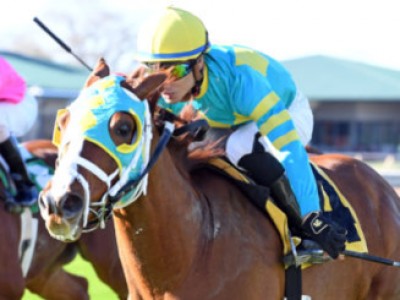 Preview &amp; Trifecta - Breeders' Cup Turf Image 8