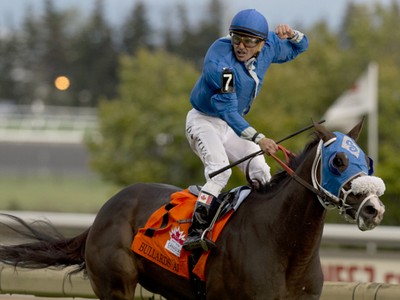 Preview &amp; Trifecta - Breeders' Cup Turf Image 2