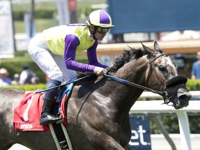 Preview &amp; Trifecta - Breeders' Cup Turf Image 11