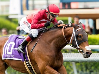 Preview &amp; Trifecta - Breeders' Cup Turf Image 7