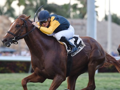 Preview &amp; Trifecta - Breeders' Cup Turf Image 13