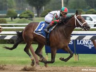 Preview &amp; Trifecta - Breeders' Cup Juvenile Image 5