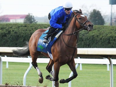 Preview &amp; Trifecta - Breeders' Cup Mile Image 2