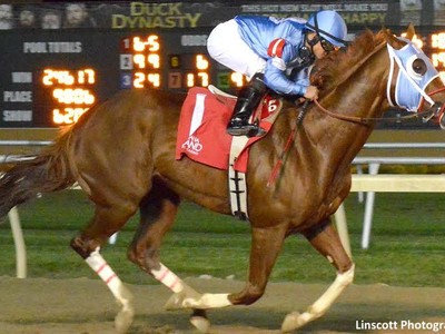 Preview &amp; Trifecta - Breeders' Cup Turf Sprint Image 1