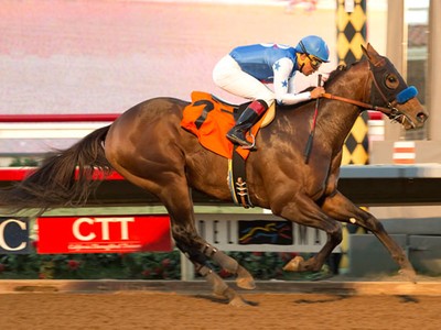 Preview &amp; Trifecta - Breeders' Cup Sprint Image 2