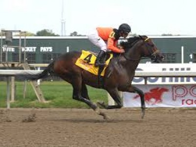 Preview &amp; Trifecta - Breeders' Cup Sprint Image 3