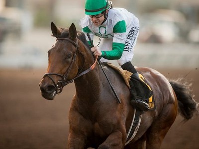 Preview &amp; Trifecta - Breeders' Cup Distaff Image 3