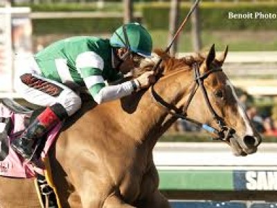 Preview &amp; Trifecta - Breeders' Cup Distaff Image 5