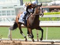 Preview & Trifecta - Breeders' Cup Distaff