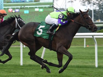 Preview &amp; Trifecta - Breeders' Cup Juvenile Fillies Turf Image 3