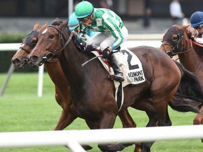 Preview &amp; Trifecta - Breeders' Cup Filly &amp; Mare Turf Image 4