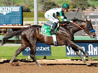 Preview &amp; Trifecta - Breeders' Cup Dirt Mile Image 2