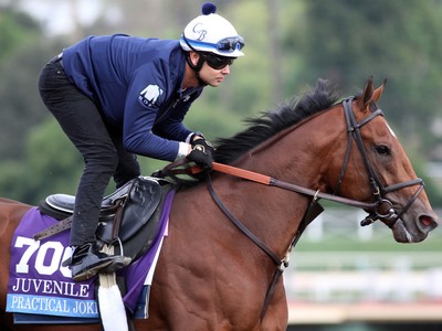 Preview &amp; Trifecta - Breeders' Cup Dirt Mile Image 1