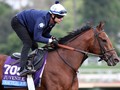 Preview & Trifecta - Breeders' Cup Dirt Mile