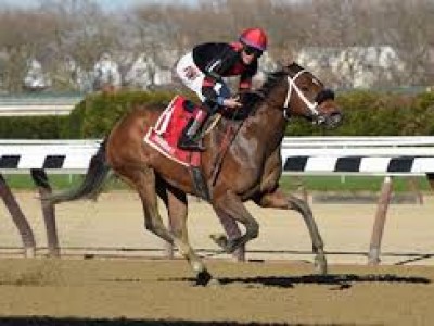 Preview &amp; Trifecta - Breeders' Cup Filly &amp; Mare Sprint Image 2