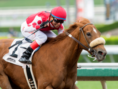 Preview &amp; Trifecta - Breeders' Cup Filly &amp; Mare Sprint Image 3