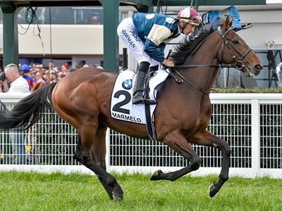 Preview &amp; Trifecta - Melbourne Cup 2017 Image 1