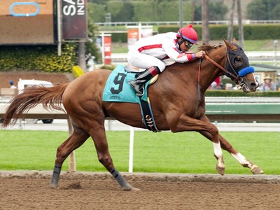 Review - Breeders' Cup Classic Image 3