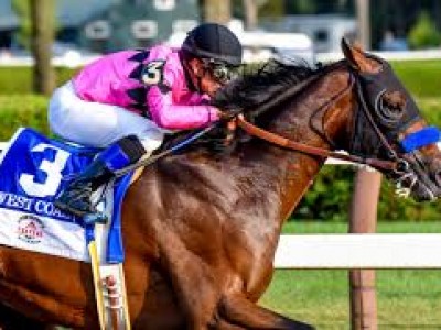 Review - Breeders' Cup Classic Image 1