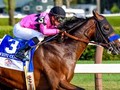 Review - Breeders' Cup Classic