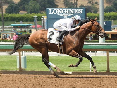 Review - Breeders' Cup Dirt Mile Image 1