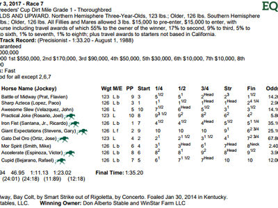 Review - Breeders' Cup Dirt Mile Image 4