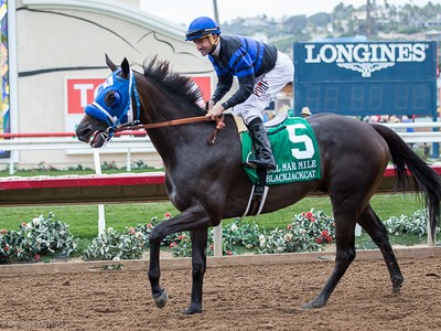 Review - Breeders' Cup Mile Image 2