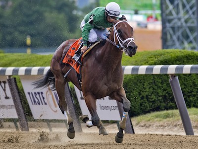 Review - Breeders' Cup Sprint Image 3