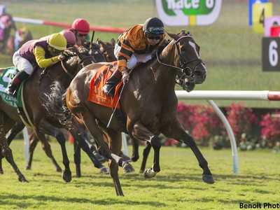 Review - Breeders' Cup Filly &amp; Mare Turf Image 3