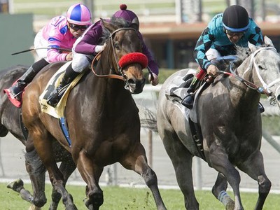 Review - Breeders' Cup Turf Sprint Image 2