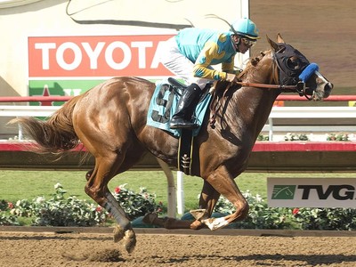 Review - Breeders' Cup Juvenile Image 1