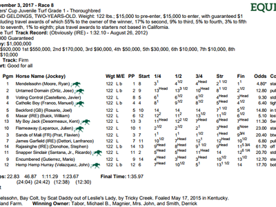 Review - Breeders' Cup Juvenile Turf Image 2