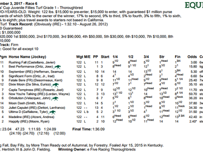 Review - Breeders' Cup Juvenile Fillies Turf Image 3