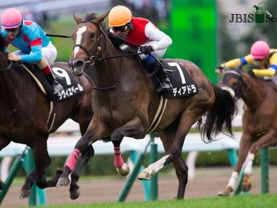 Preview &amp; Trifecta - The Queen Elizabeth II Cup (Japan) Image 1